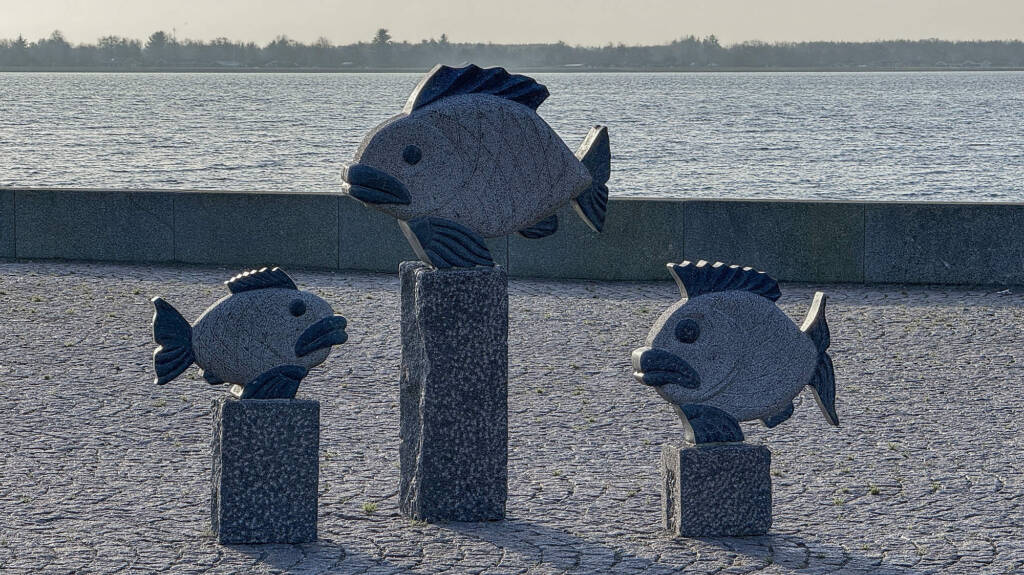 Terrasse lige ned til Limfjorden